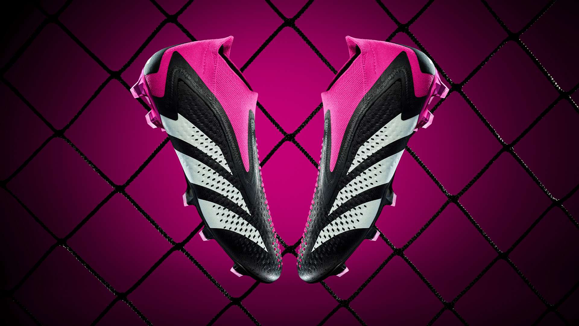 分選擇都可 分選擇都可