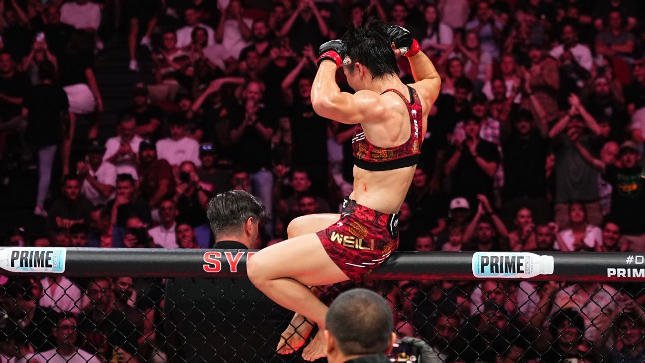 合作细节 合作细节